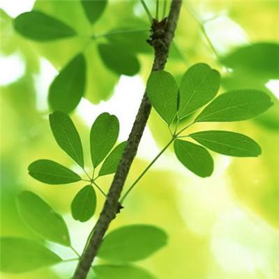 美联储吵翻了！市场紧急“改剧本”，降息变加息？