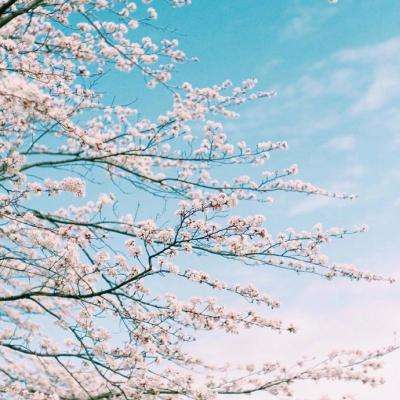 合乐彩票app v{randstr type=